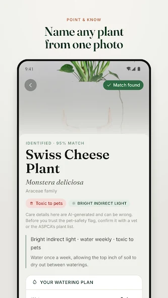 LeafLens plant identification result with name and care information